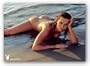 Karen McDougal Playboy Poster (36"X22")