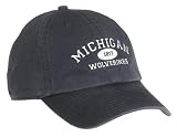 Michigan Established Arch Cap