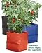 Colorful Tomato Grow Bag