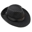 Pin Stripe Fedora Hat