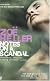 Notes on a Scandal: What Was She Thinking?: A Novel
