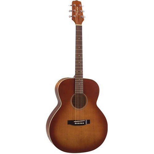 Childrens Toyshop  Musical Instruments : Takamine G Series G5403S-VFT NEX Acoustic Guitar, Violin Finish