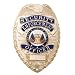 Security Enforcement Officer Badge (Gold)
