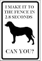I make it to fence in 2.8 seconds, Can You? Chesapeake Bay Retriever dog aluminum parking sign