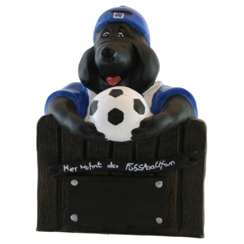 Fußball Mauli in blauem Trikot
