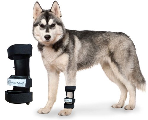 Dog Front Leg Carpal Splint Size: Medium On Sale