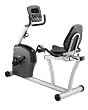 AFG 2.0 AR Recumbent Exercise Bike AFG 2.0 AR Recumbent Exercise Bike