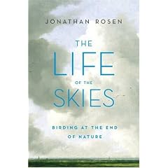 The Life of the Skies