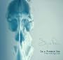 In a Frozen Sea: A Year with Sigur Ros (Artist In Residence, Volume 1)