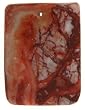 Pink Web Jasper Rectangle Pendant 1.5mm Hole 30x42mm - Package of 3