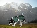 Water Resistant Kennel Deluxe Dog Blanket Coat Jacket with Reflective Safety All Sizes