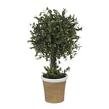 20 Single Ball Silk Topiary Plant w/ Vase