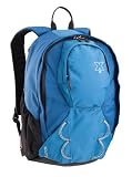 Coleman Exponent Scurry X15 Panel-Load Daypack,Blue