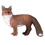 RSPCA Red FoxIMAGE