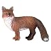 RSPCA Red Fox_s-1