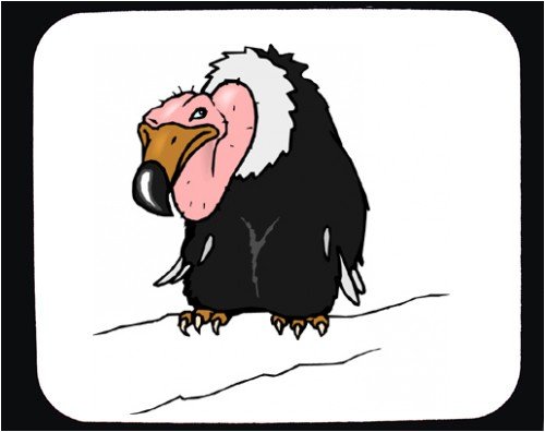 Mouse Pad with cartoon, bird, buzzard