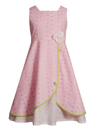 Rare Editions Girls PLUS Size LIGHT PINK WHITE GINGHAM CHECK EYELET Special Occasion Wedding Flower Girl Party Dress