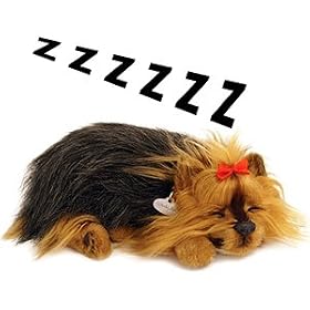 Life Like Puppies