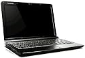 Lenovo Ideapad 30,7 cm (12,1 Zoll) Netbook (Intel Atom N270 1.6GHz, 2GB RAM, 320GB HDD, Nvidia Ion MCP79, Win 7 HP) schwarz