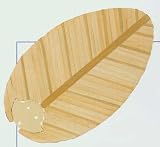 5 Green Bamboo Fan Blades