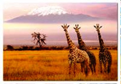 41e1N8lCVsL Amboseli National Park, Kenya (1000 pc puzzle)