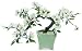 Glass Bonsai Flower Tree