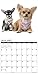 2016 Chihuahua Rules Wall Calendar