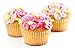 Cake Decorating Kit - Great for Cakes Cupcakes and All Deserts - 24 Tips for All Styles and Occasions - Works with All Icing and Frosting