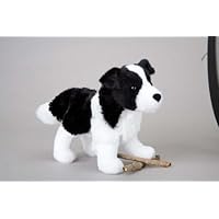 Meadow - Border Collie 8