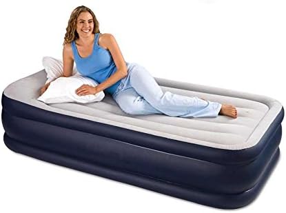 Gold Lion Intex Deluxe Pillow Rest Twin Airbed Kit Built-In Pump Great Design