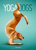 Yoga Dogs 2012