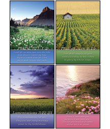 Scripture Greeting Cards-KJV-Boxed-Get Well -