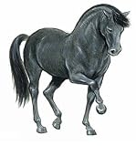[(Favorite Horse Stickers )] [Author: John Green] [May-2005]