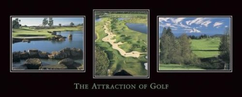 Art Poster Print - Attraction Of Golf - Artist: - Poster Size: 20 X 8 inches