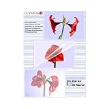 Produkt-Bild: Olympia Laminierfolie A4 (210 x 297 mm) 80 micron - 100 Stck