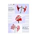 Olympia Laminierfolie A4 (210 x 297 mm) 80 micron - 100 Stck