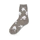 Poodle Poses Socks