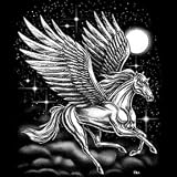 Fantasy Men's T-Shirt : Pegasus - Winged Horse