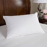 Review SmartBargains  / 375TC Egyptian Cotton Covered White Down Pillow, King