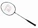 DHS 2010 Aluminum-Graphite Shaft Badminton Racket