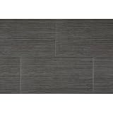 Element Series 12 x 24 Porcelain Tile in Black