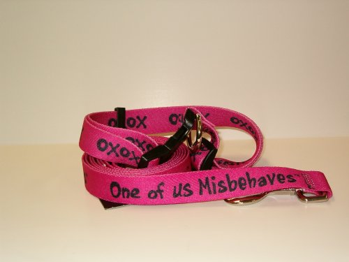 Dog Leash and Collar Set
