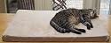 ExtraComfort Orthopaedic Restore&reg; Memory Foam Cat Bed With Breathable Waterproof Inner Liner In Faux Suede Camel 50x40x5cm (20x16x2 inches)