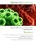 Bacteria: Bacteria. Microbiology, Timeline of evolution, Bacterial cellular morpholog...