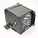 VX-1000C Runco Projector Lamp Replacement. Projector Lamp Assembly with Genuine Original Ushio Bulb Inside.