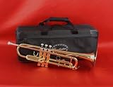 Conductor Model 200 Bb Trumpet w/ Case, Mouthpiece and 1 Year Warranty - ON SALE - SAVE OVER 50