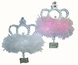 GANZ - Girls Gifts and Accessories - Fun and Fancy Princess Magnet - Lots of Cute Sayings! Tiera Magnet for the Princess Diva!
