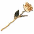 24kt Gold Trimmings Lacquered Real Cream Rose
