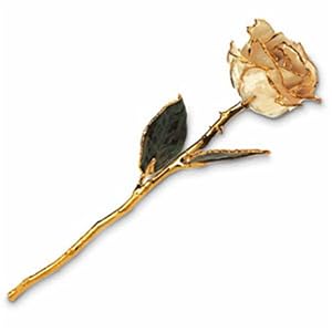 24kt Gold Trimmings Lacquered Real Cream Rose