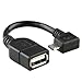 IVSO Micro USB 2.0 Host OTG Cable for Google Nexus 9 Tablet (Black)